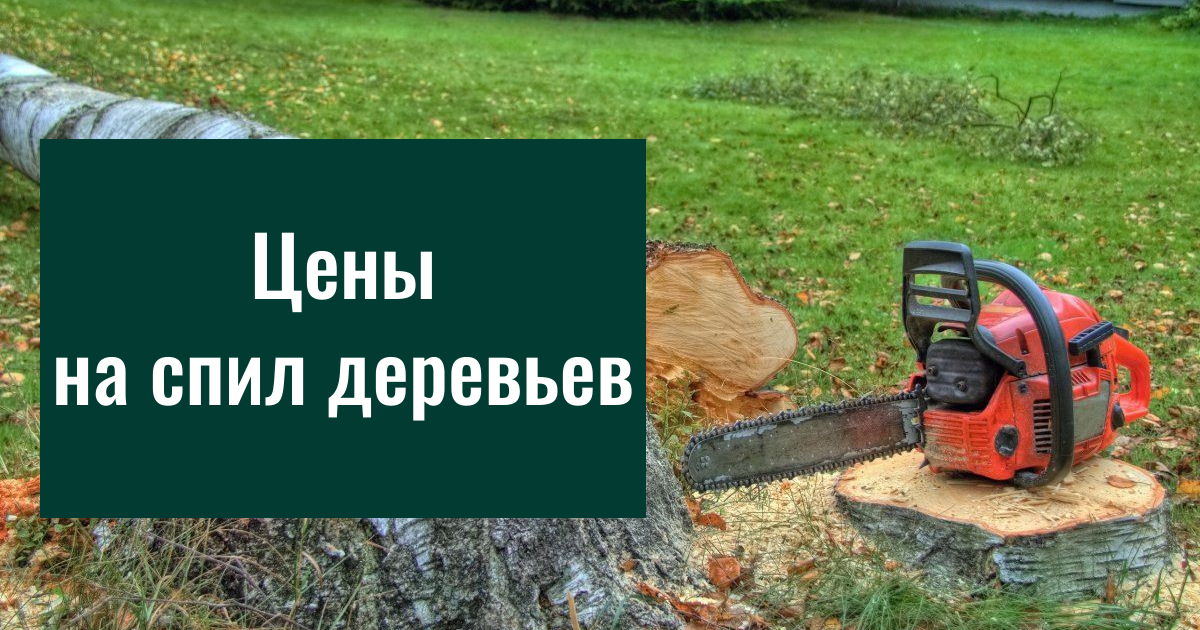 Заголовок