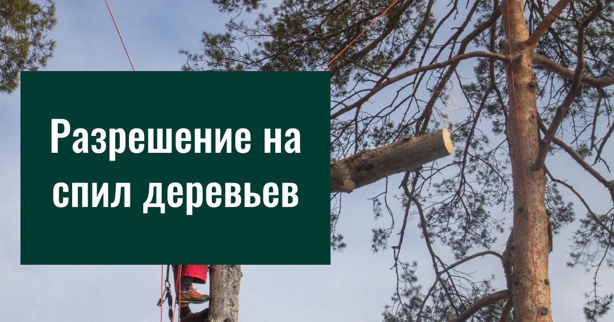 Заголовок